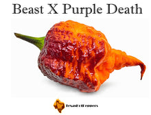 Load image into Gallery viewer, Beast X Purple Death