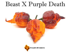 Load image into Gallery viewer, Beast X Purple Death