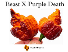 Load image into Gallery viewer, Beast X Purple Death