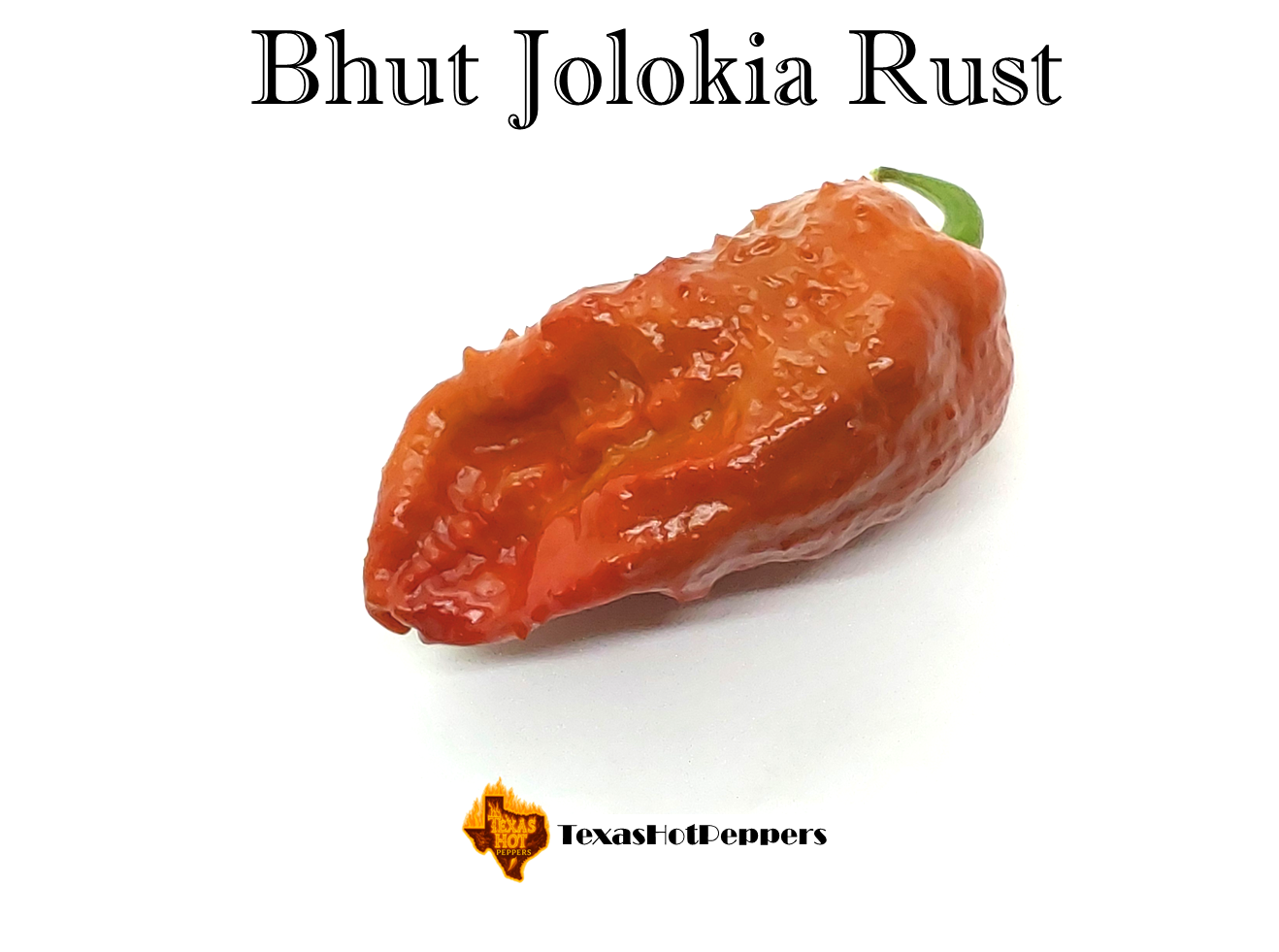 Rusty Peper Bhut Jolokia Rust – Texas Hot Peppers