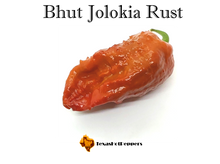 Load image into Gallery viewer, Bhut Jolokia Rust