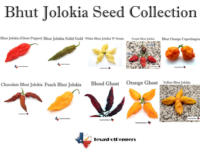 Bhut Jolokia - Seed Collection - 10 Different Bhut types