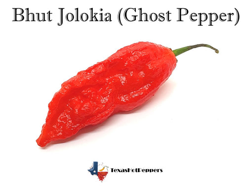 Bhut Jolokia (Ghost Pepper)