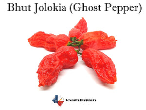 Bhut Jolokia (Ghost Pepper)