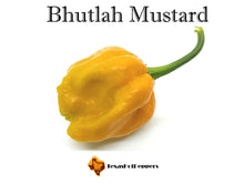 Load image into Gallery viewer, Bhutlah Mustard