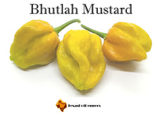 Load image into Gallery viewer, Bhutlah Mustard