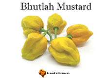 Load image into Gallery viewer, Bhutlah Mustard