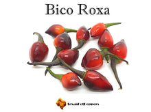 Load image into Gallery viewer, Bico Roxa