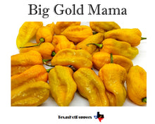 Load image into Gallery viewer, Big Mama Gold