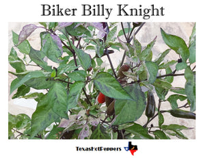 Biker Billy Knight