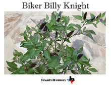 Load image into Gallery viewer, Biker Billy Knight