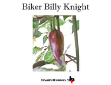 Load image into Gallery viewer, Biker Billy Knight