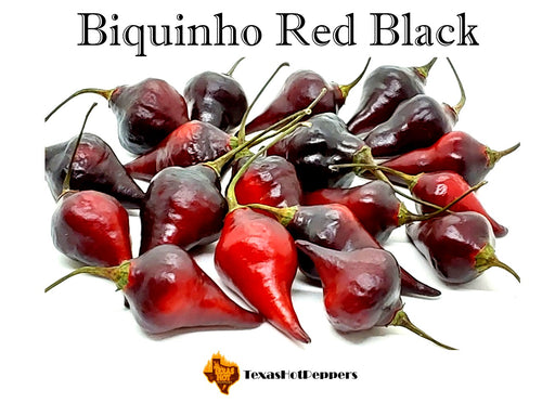 Biquinho Red Black