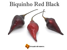 Load image into Gallery viewer, Biquinho Red Black