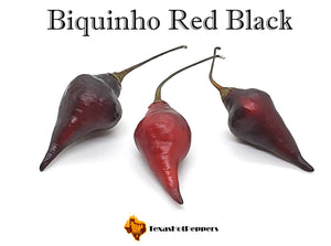 Biquinho Red Black