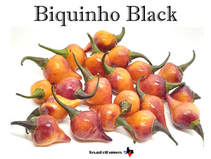 Biquinho Black