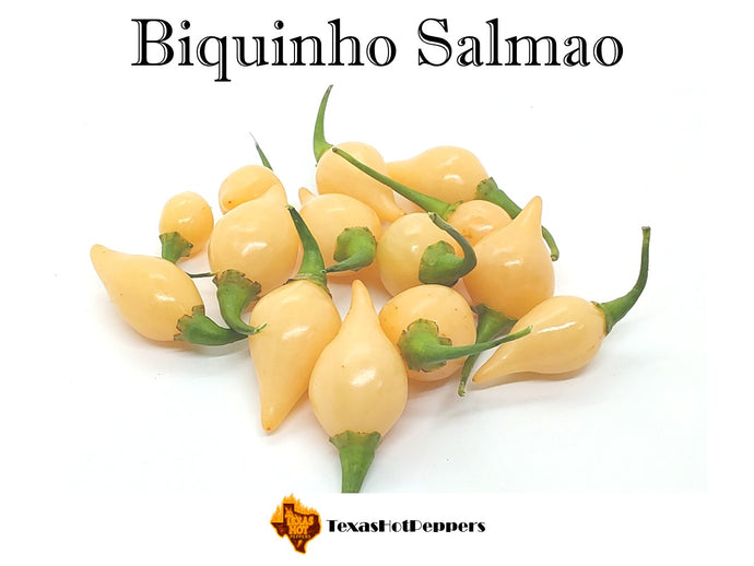 Biquinho Salmao