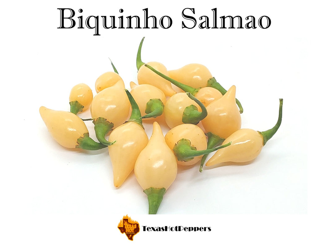 Biquinho Salmao