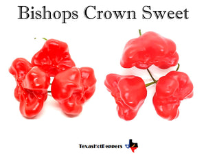 Bishops Crown Sweet