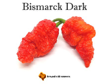 Load image into Gallery viewer, Bismarck Dark
