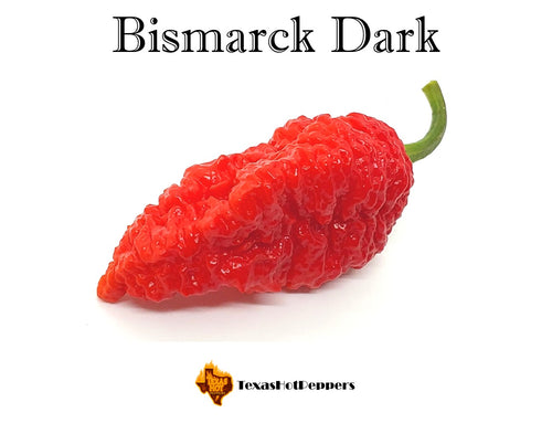 Bismarck Dark
