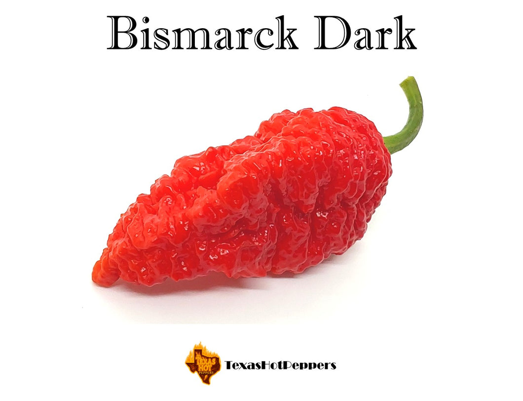 Bismarck Dark