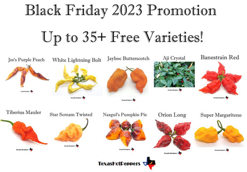 Black Friday Freebie Package - Up to 35 Free Varieties!