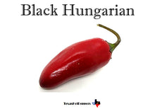 Load image into Gallery viewer, Black Hungarian