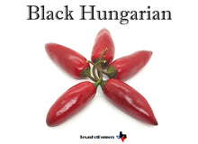 Load image into Gallery viewer, Black Hungarian