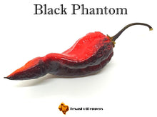 Load image into Gallery viewer, Black Phantom