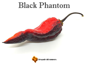 Black Phantom