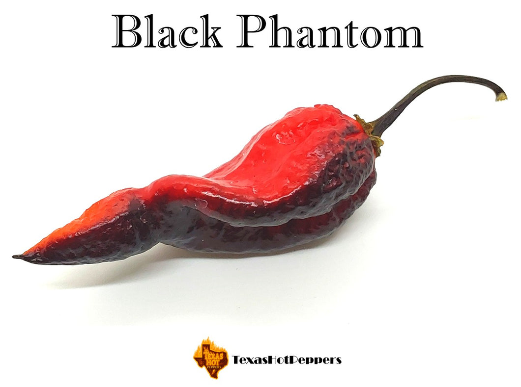 Black Phantom