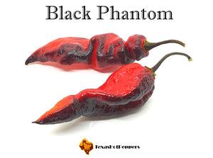Black Phantom