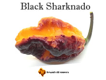 Load image into Gallery viewer, Black Sharknado