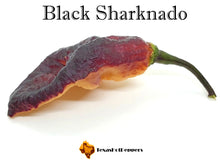 Load image into Gallery viewer, Black Sharknado