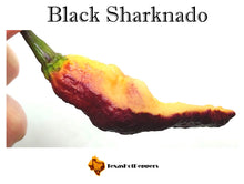 Load image into Gallery viewer, Black Sharknado