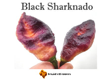 Load image into Gallery viewer, Black Sharknado