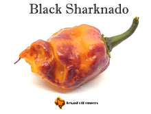 Load image into Gallery viewer, Black Sharknado