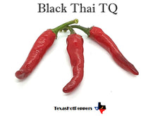 Load image into Gallery viewer, Black Thai TQ