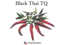 Load image into Gallery viewer, Black Thai TQ