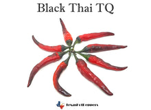 Load image into Gallery viewer, Black Thai TQ