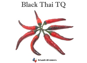 Black Thai TQ