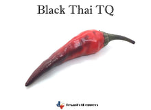 Load image into Gallery viewer, Black Thai TQ