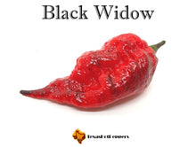 Load image into Gallery viewer, Black Widow