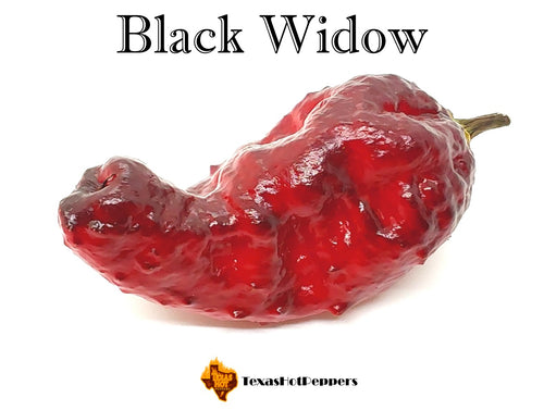 Black Widow