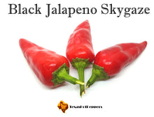 Load image into Gallery viewer, Black Jalapeno Skygaze