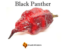 Load image into Gallery viewer, Black Panther