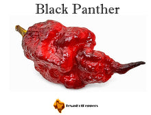 Load image into Gallery viewer, Black Panther