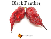 Load image into Gallery viewer, Black Panther
