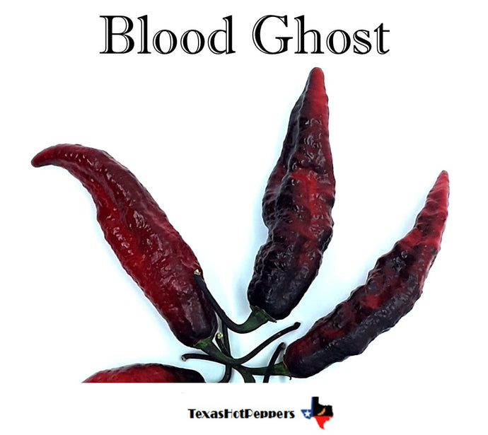 Blood Ghost